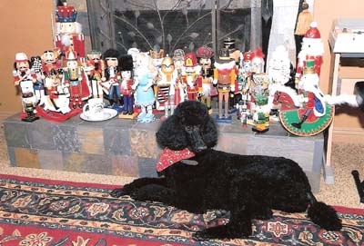 03 Lovely Christmas Poodle