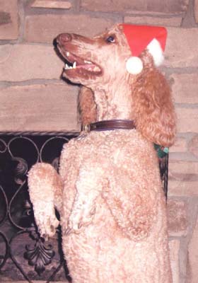 07 Molly Lyttle (at almost 3 yr old)