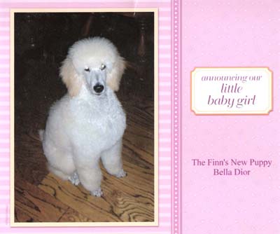 11 Announcing our little baby girl...The Finn's New Puppy Bella Dior