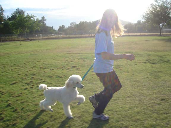 pottermommy Puppy happy with new Mommy!