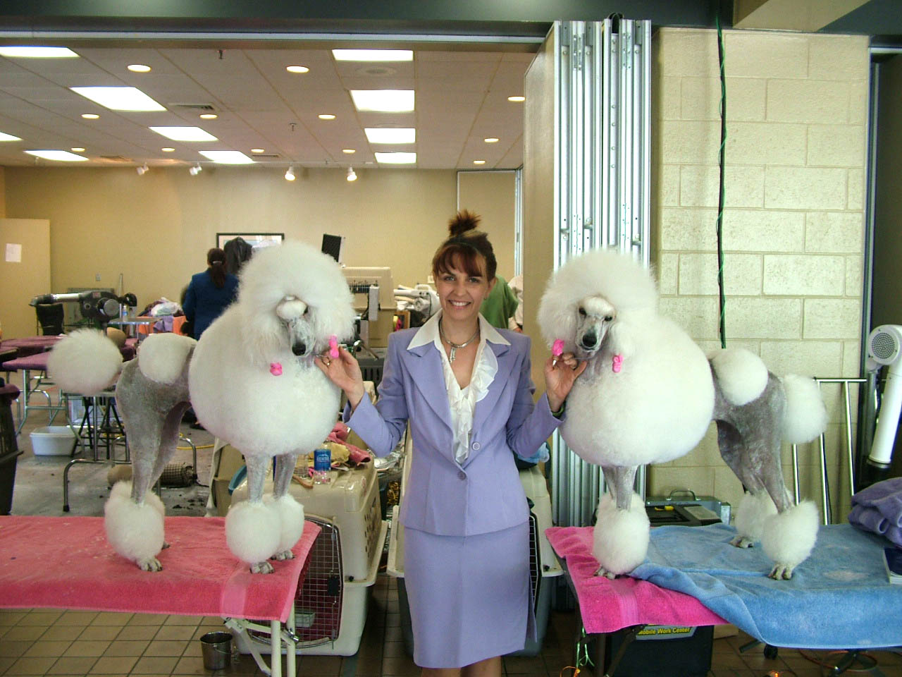 preps-for-show Valri, Jacki and Mimi at the grooming tables getting ready